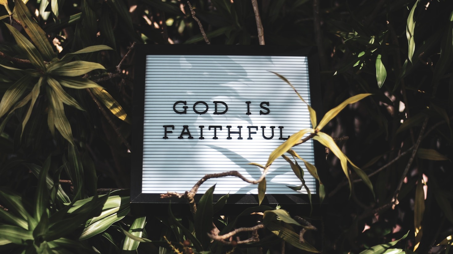 Navigating Life’s Challenges with Faith